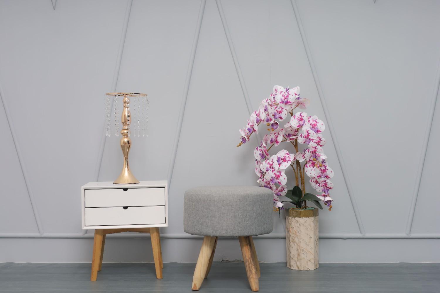 Queen Studio Background